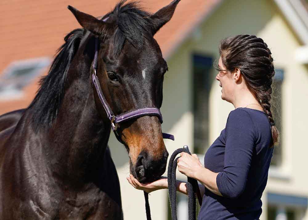 Coaching Partner-Pferd Zofingen
